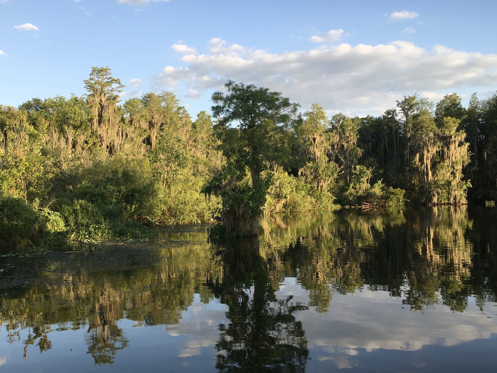 Home : Trout Lake Nature Center