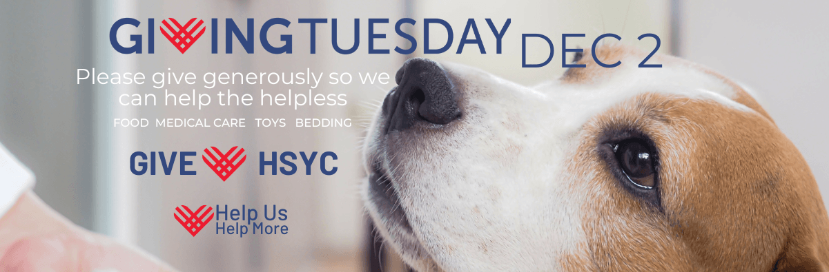 http://tinyurl.com/HSYCGivingTuesday2017