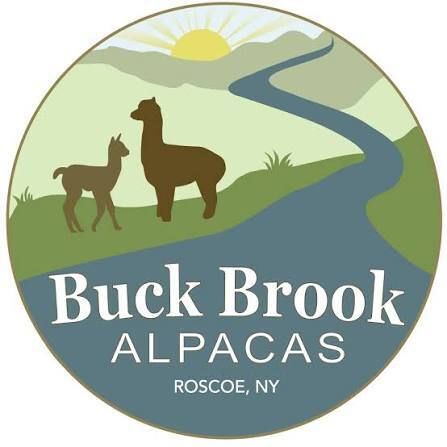 11:00 AM - Alpacas Farm