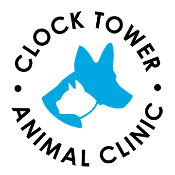 Clock Tower Animal Clnic