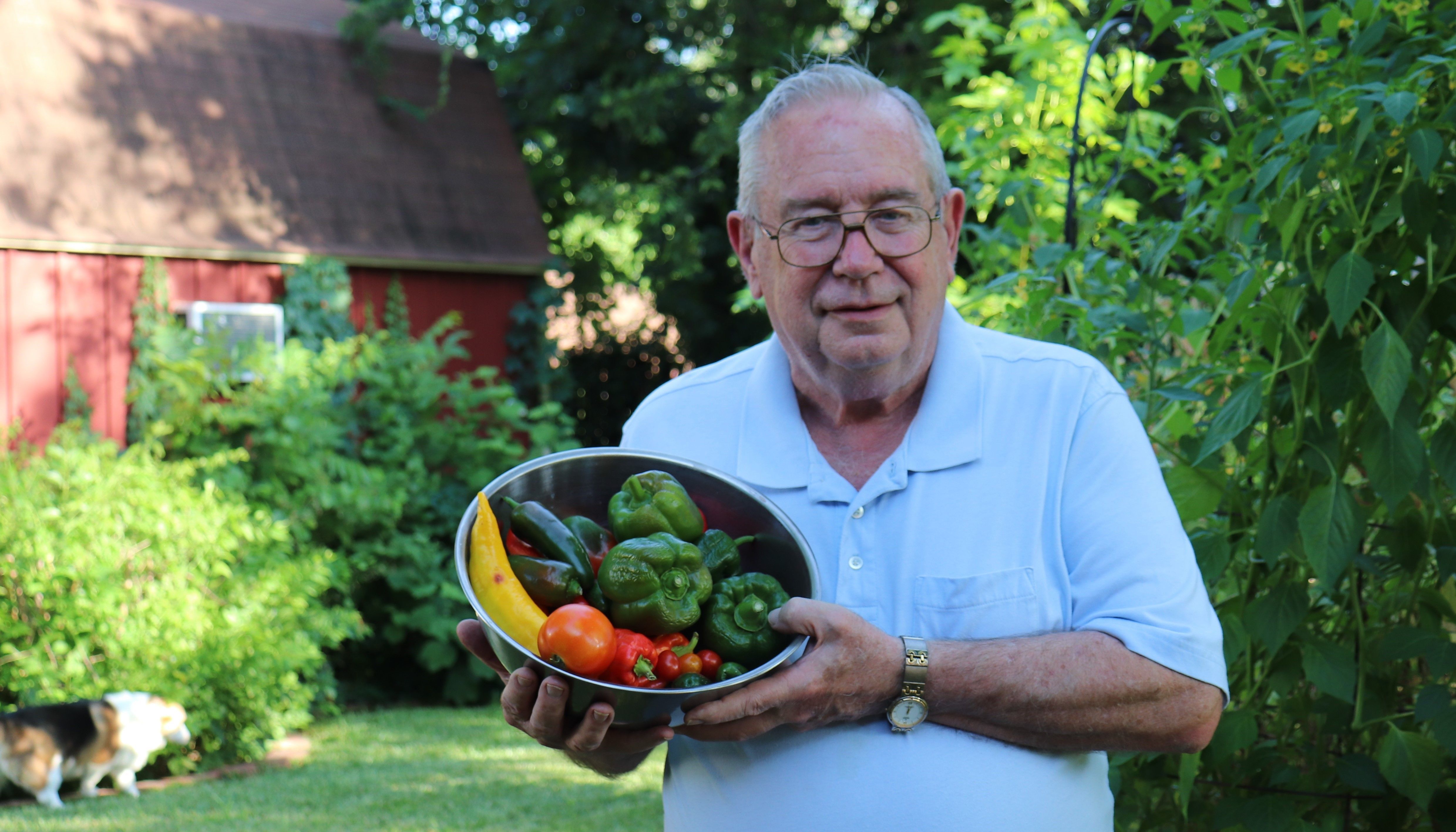 Man with homegrown vegetables