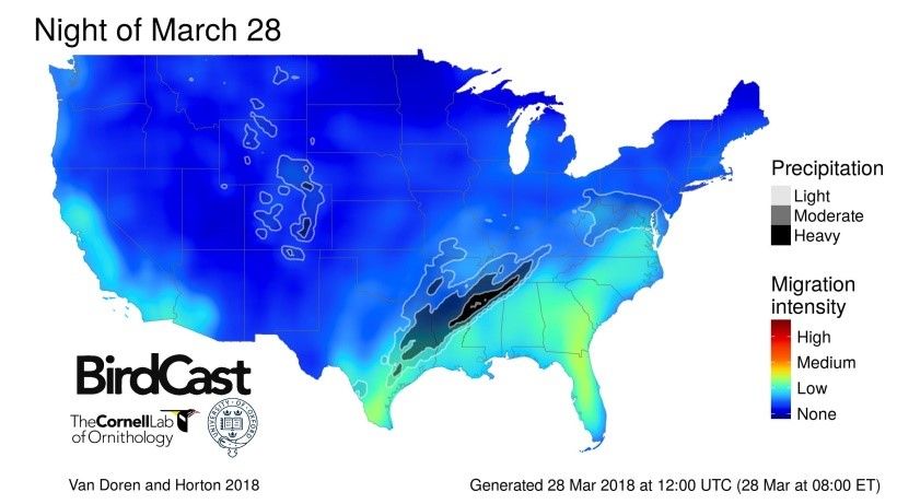 Lights Out Action Alert March 28