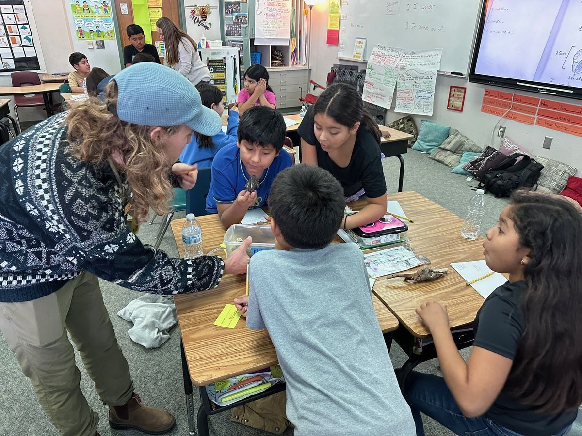 An educator leaning over desks at a school showing 4 students a box of nature discoveries.