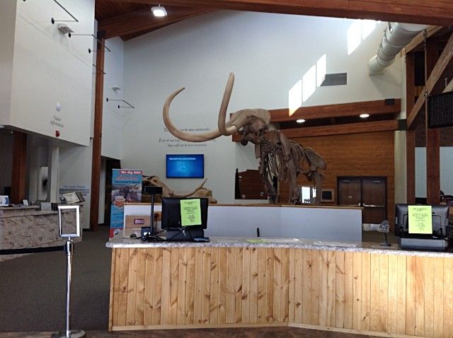 The Mammoth Site Making Mammoth Changes