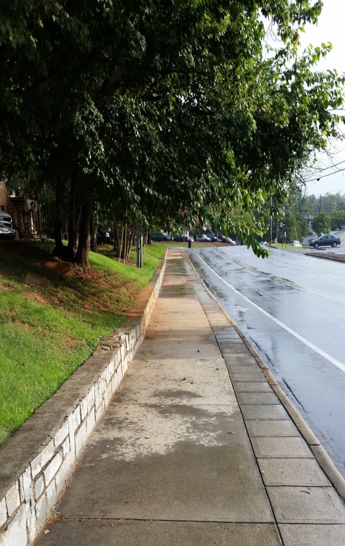 Trees as Green Stormwater Infrastructure