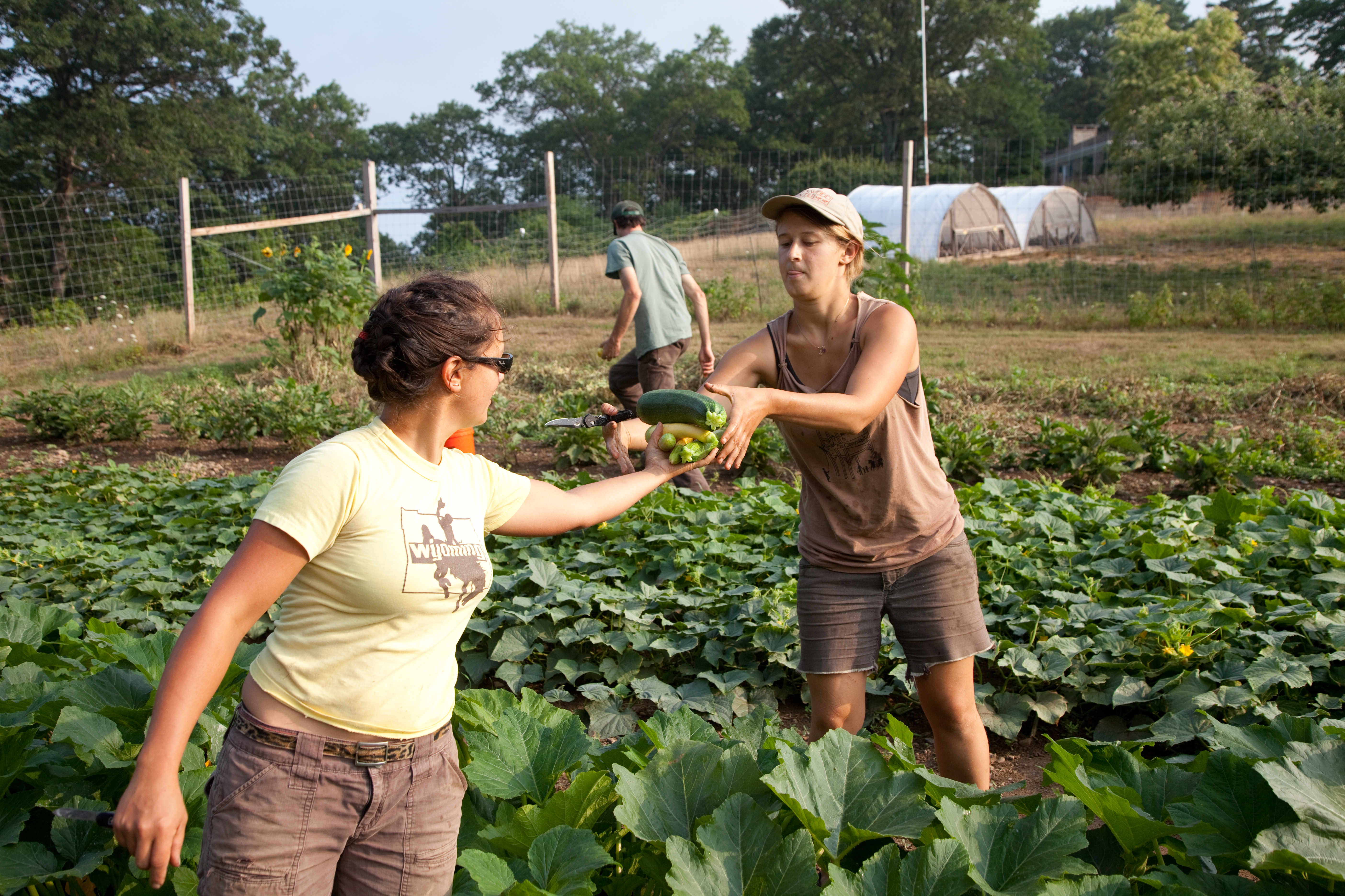 Five Hudson Valley Organizations Join Forces to Train More Young  Farmers, Increase Impact