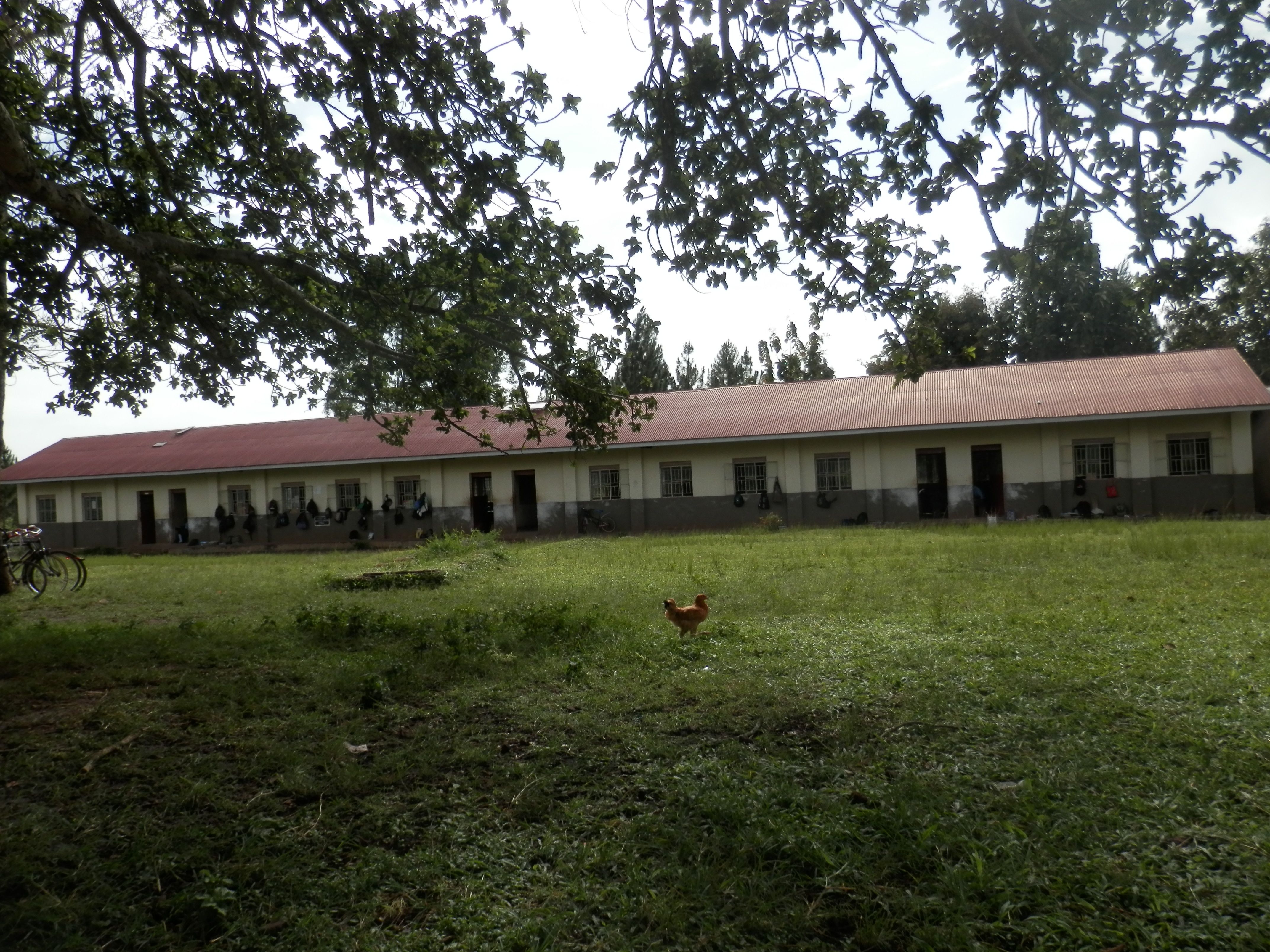 PA282229.JPG