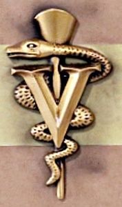 M7058 - Bronze Metal Plated Ornate Snake with Letter V