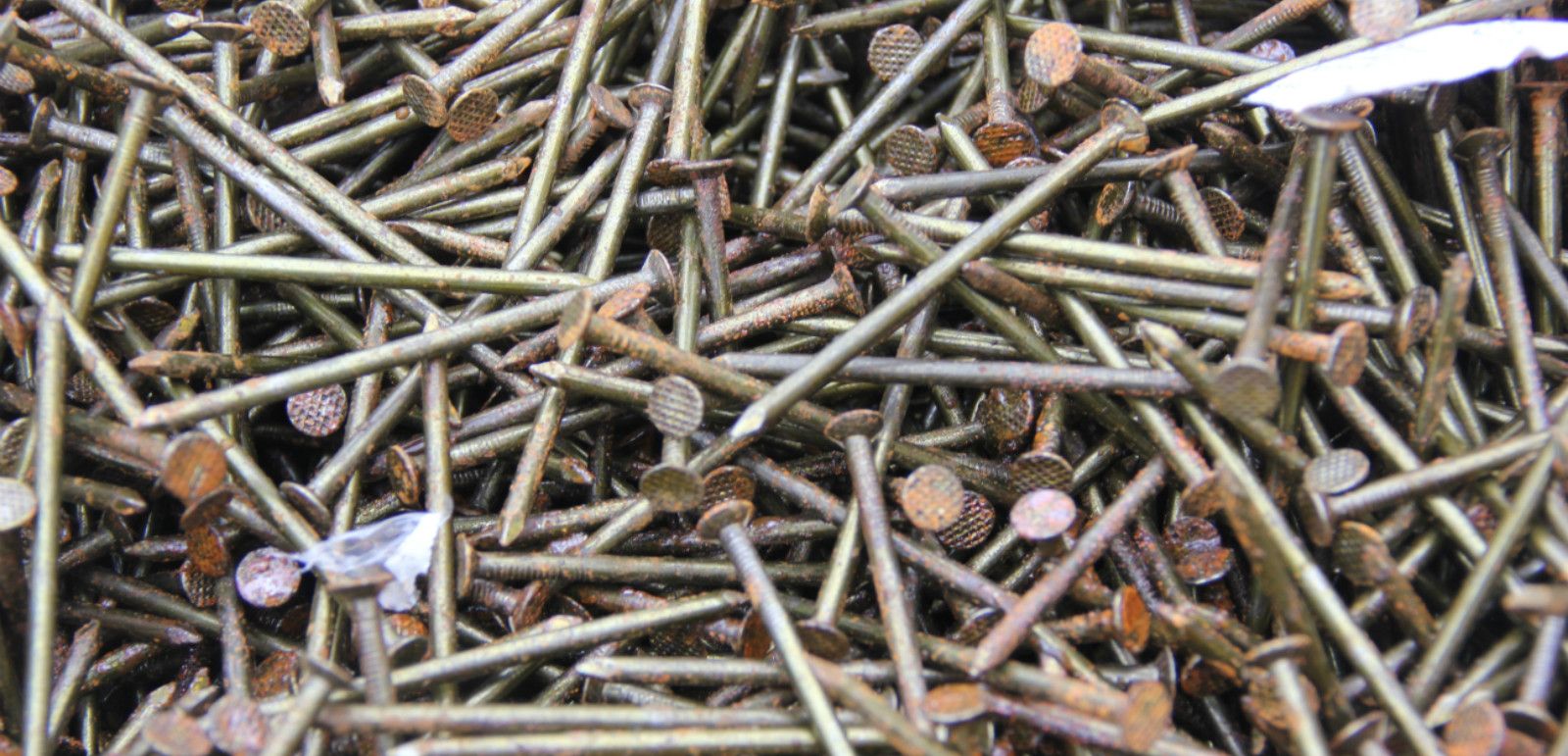 Habitat for Humanity Goldsboro, NC Wayne County Affordable housing