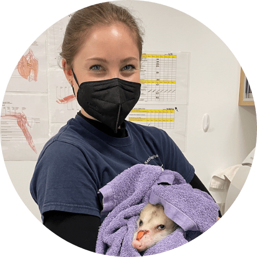Erin Melville- Veterinary Technician