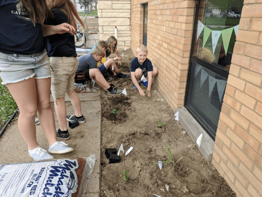 Kindergartners from Wayne, NE helping plant a pollinator garden outside their classroom.