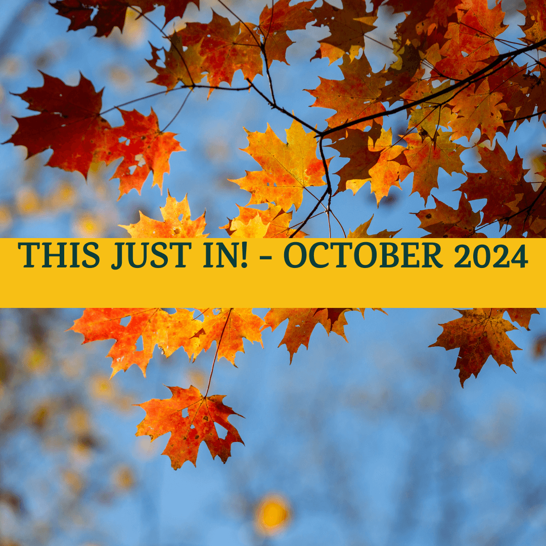 This Just IN! - October 2024