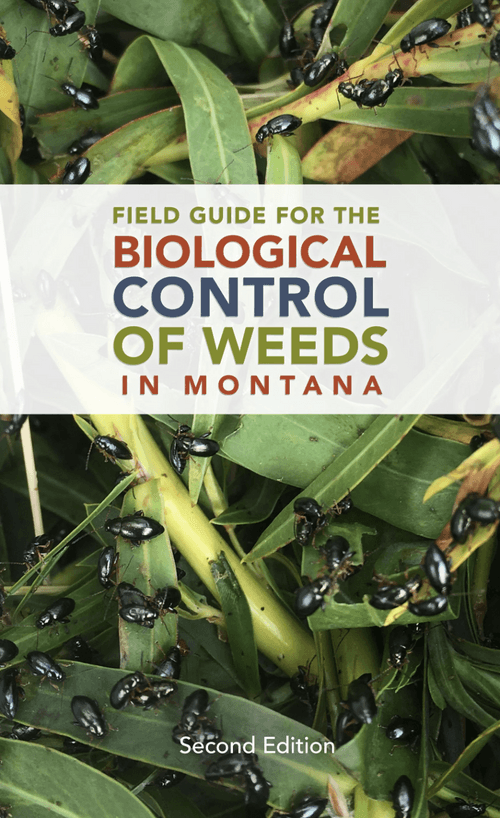 MT Biocontrol Field Guide
