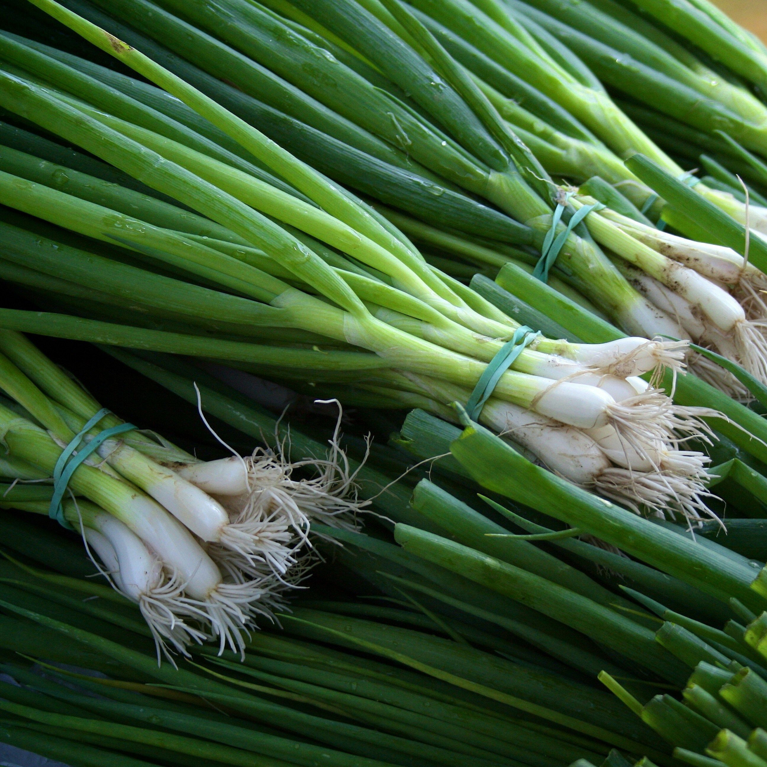 Farm Stand : Visit : The Friends of Hilltop Hanover Farm