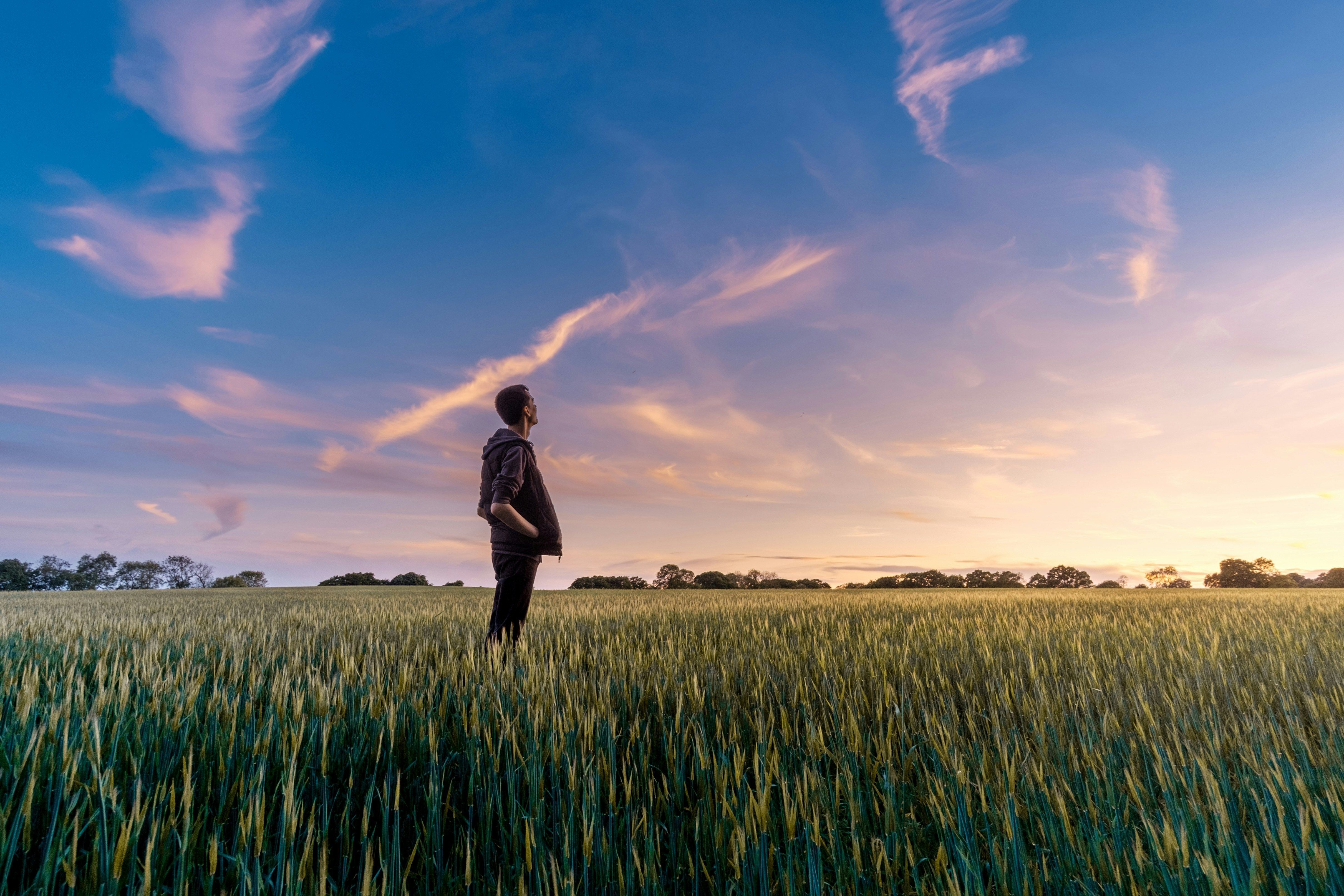 Man in field looking up at the sky at dusk