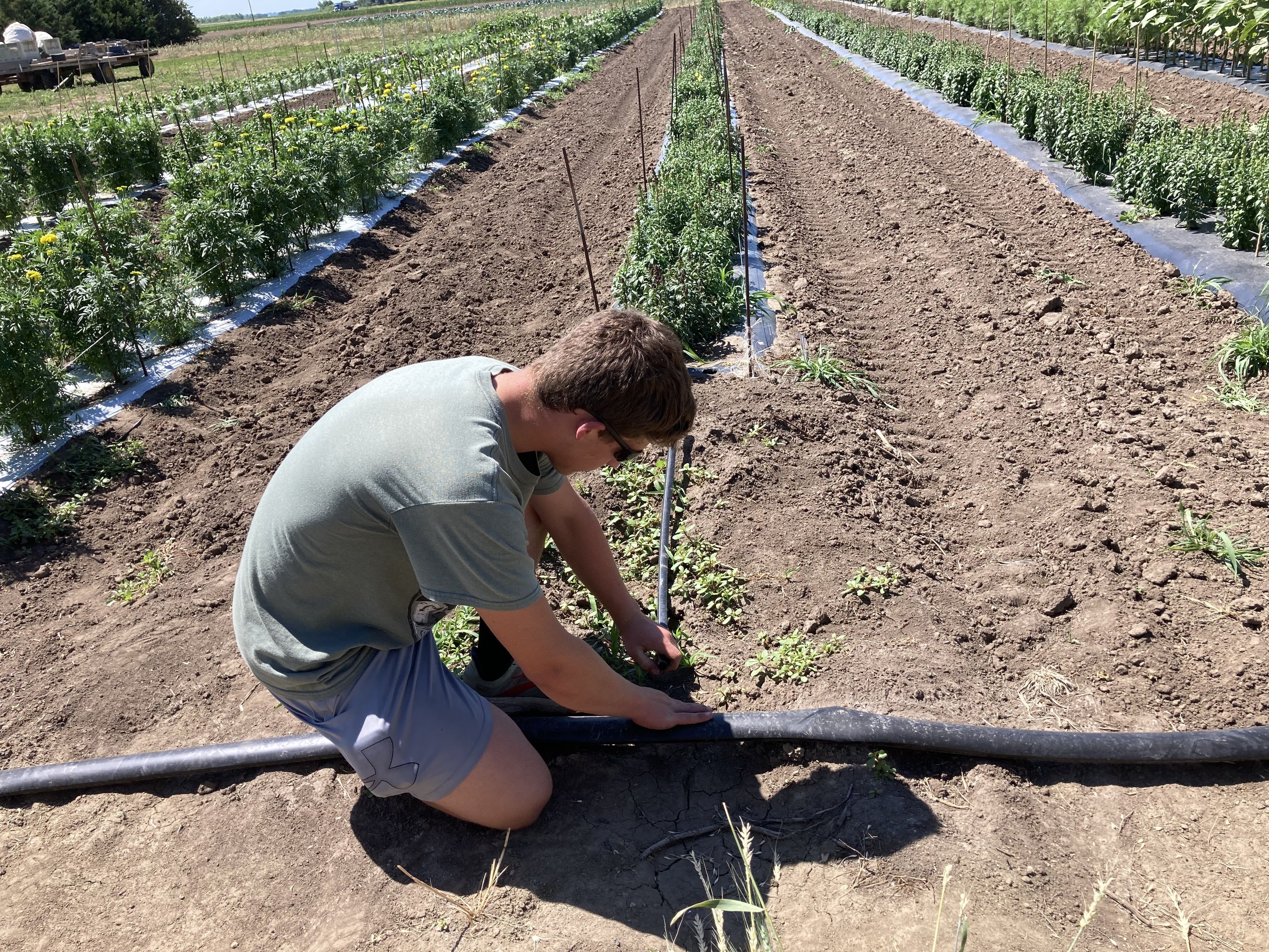 Sibling Startup: Pekarek Duo Grows Flower Business & Community Connections
