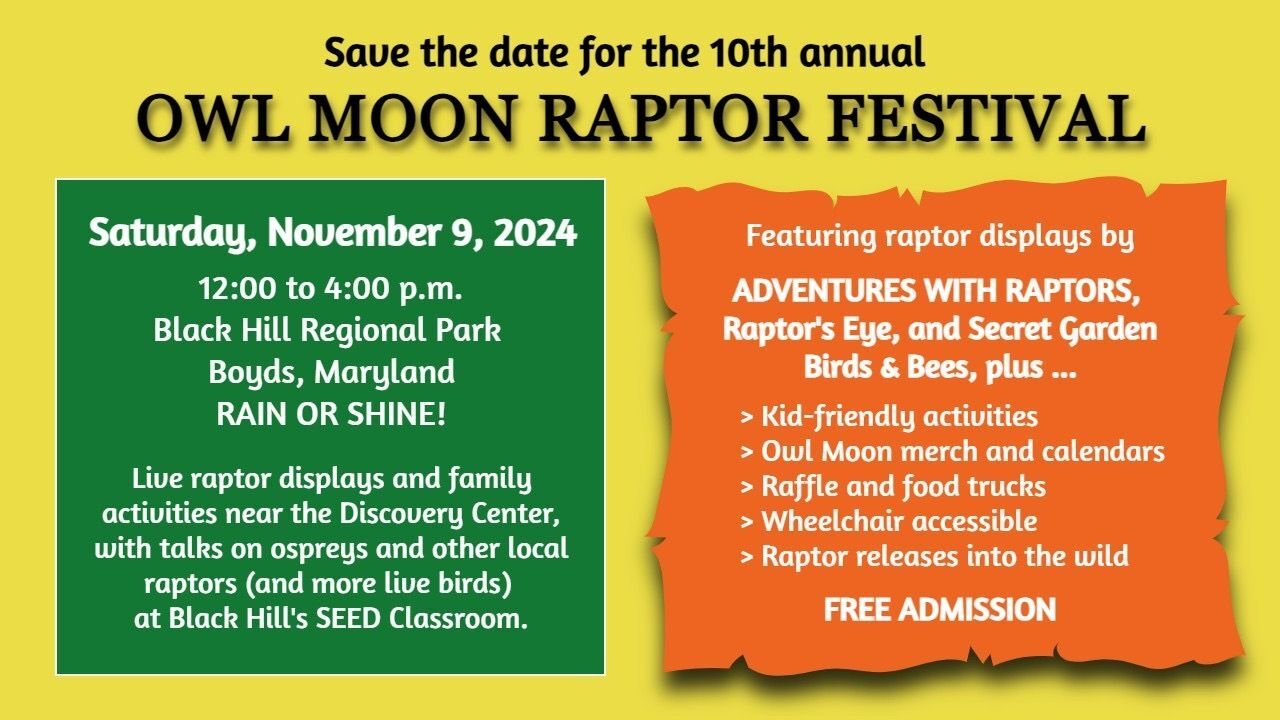 Owl Moon Raptor Festival Flyer 2024