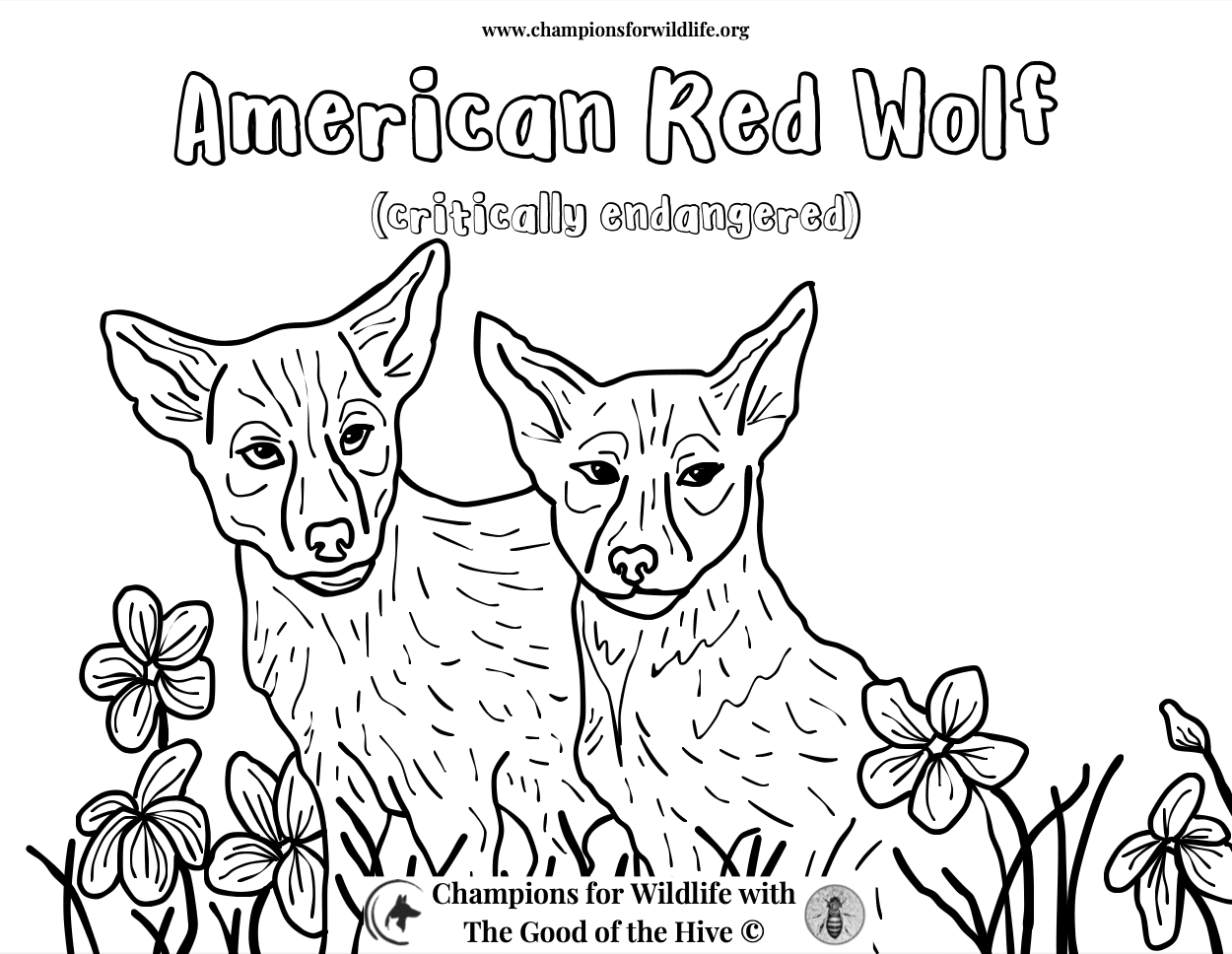 A black and white drawing of two red wolves