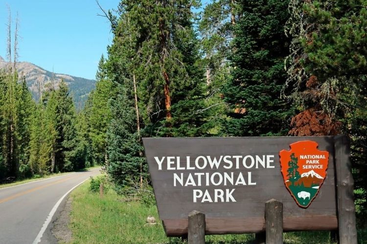 G16006 - Wooden National Park  Entrance Sign