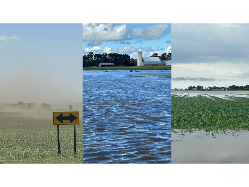 Contrasting images of flooded and dusty crop fields