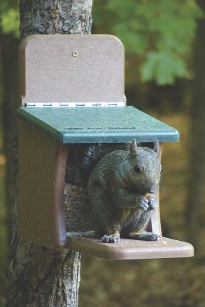 EcoTough Squirrel Feeder