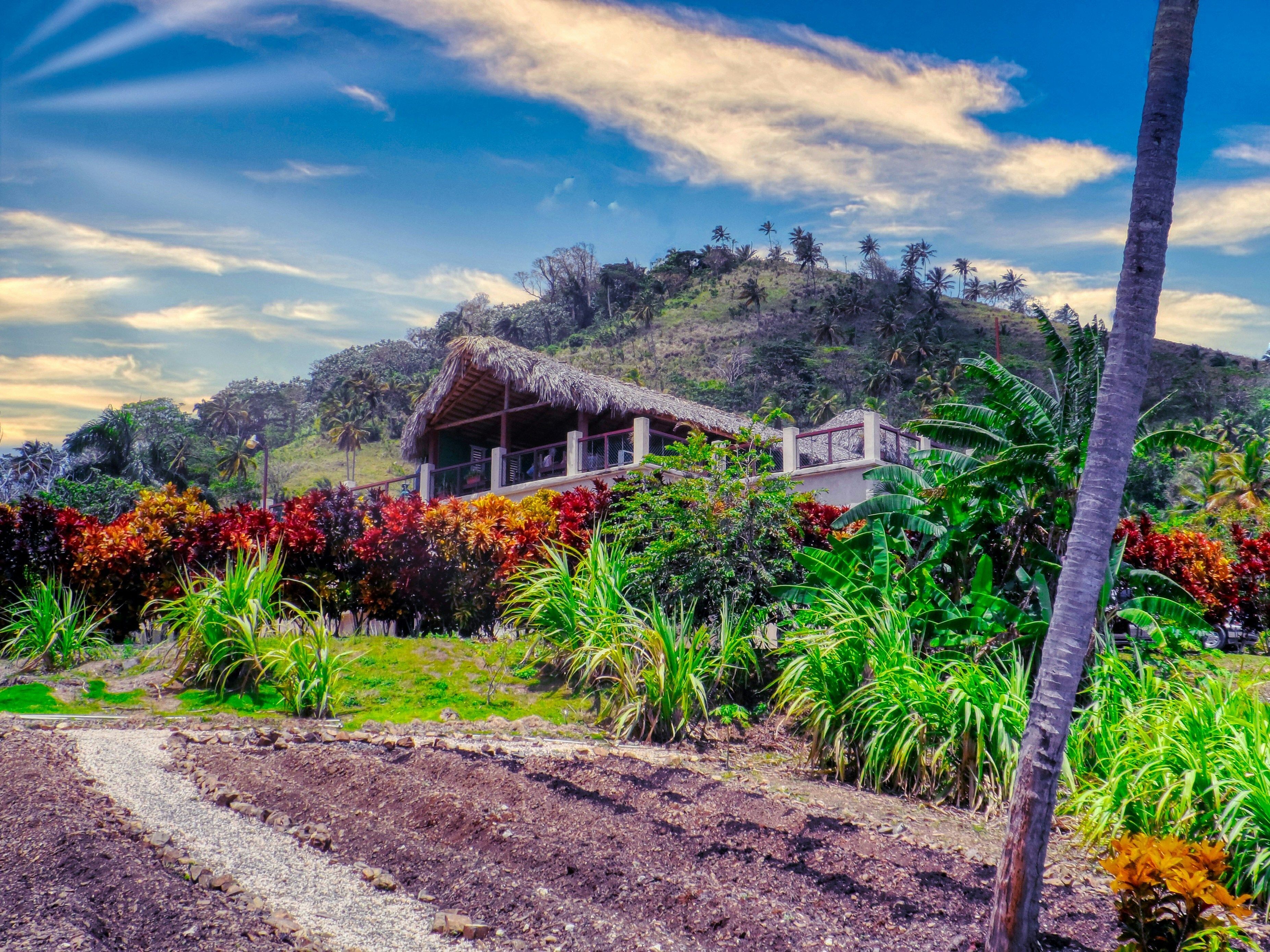 February 2026 Prayer Alert