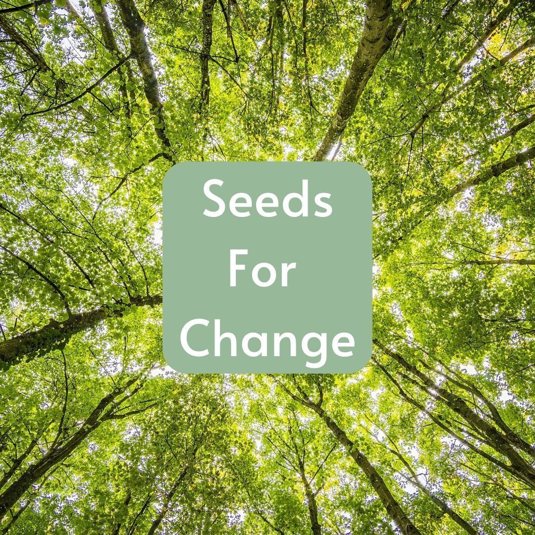 Fresh Start Welcomes Automatic Monthly Donations with Seeds for Change Program