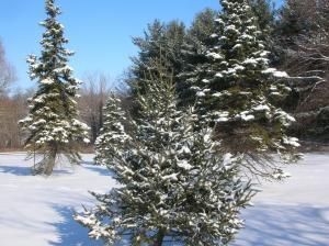 Daily Prayer March 9