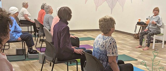 Wellness & Movement