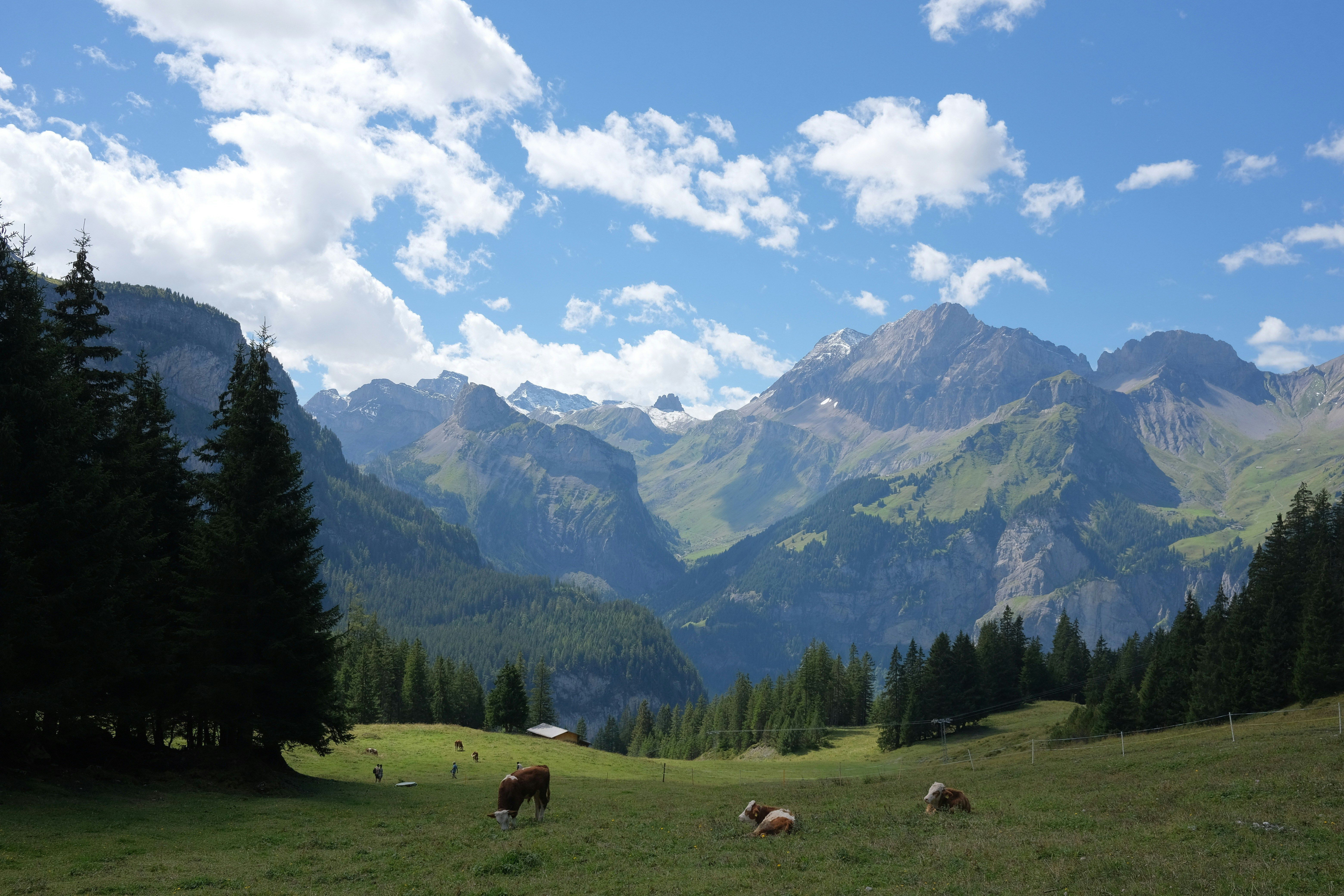 Mountains