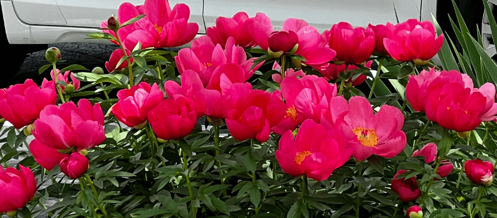 May 18 Worship