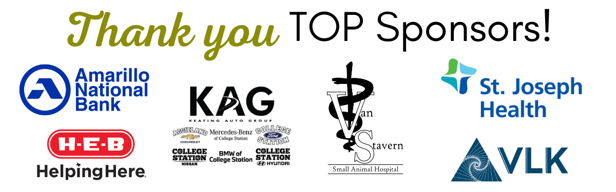 Top Sponsors of the Education Foundation