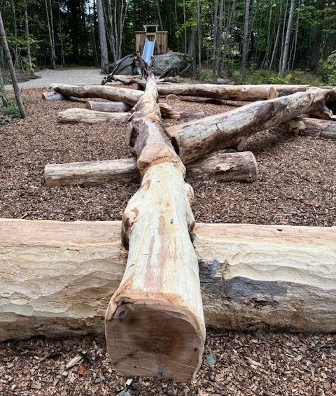 Nature PlayScape Grand Opening Oct 25th at 10am - Nature Learning Center