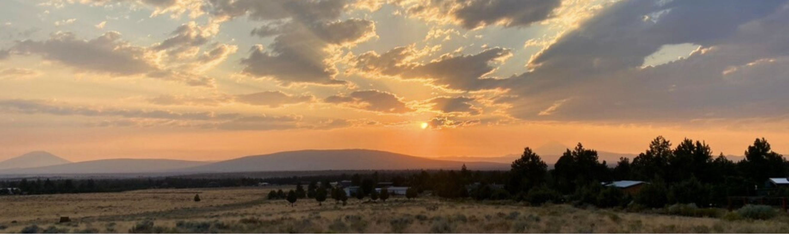 Family walking in a big open field.