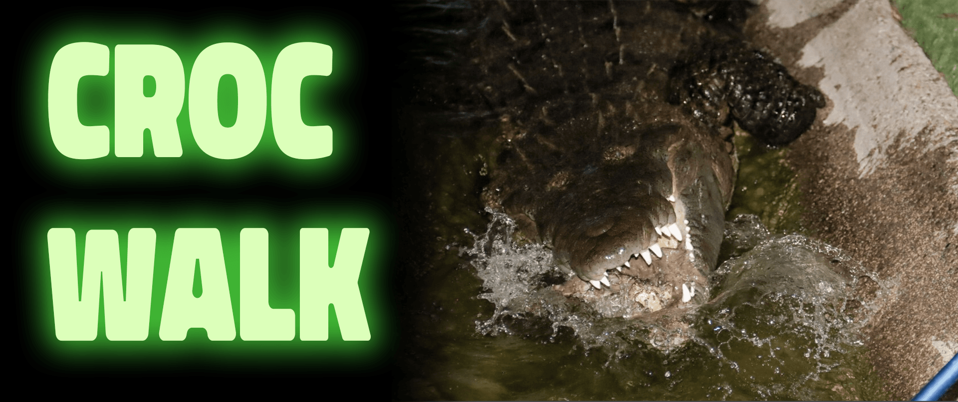 Croc Walk!