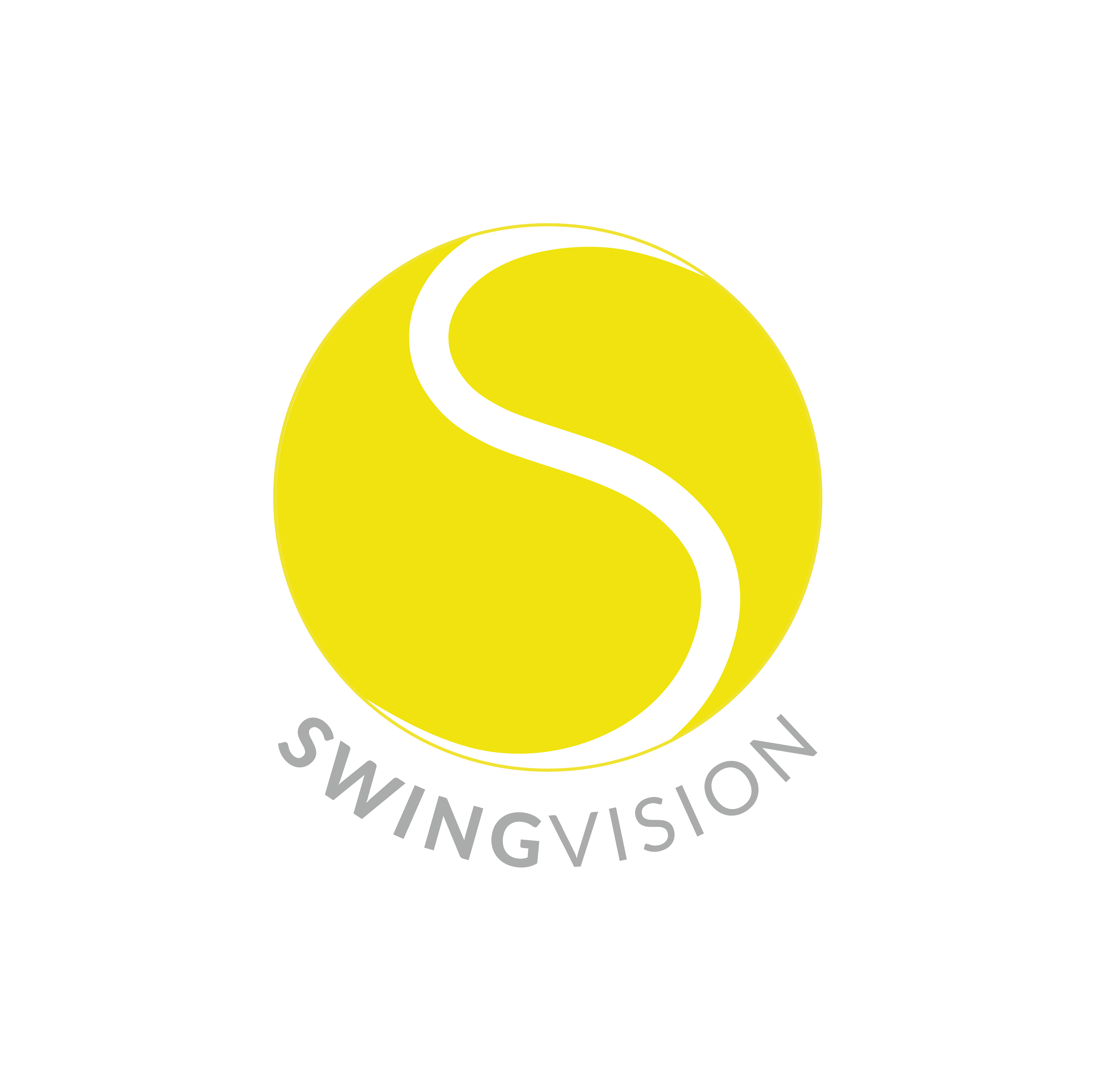 Swing Vision