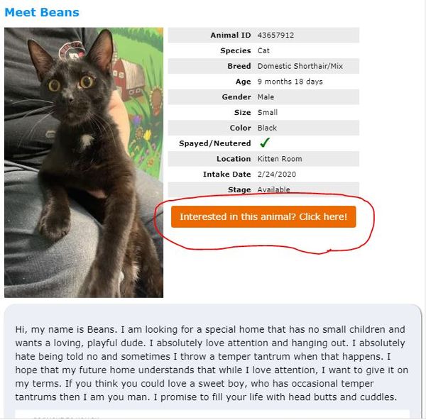 Adoption Process and Fees Adopt Beatrice Humane Society