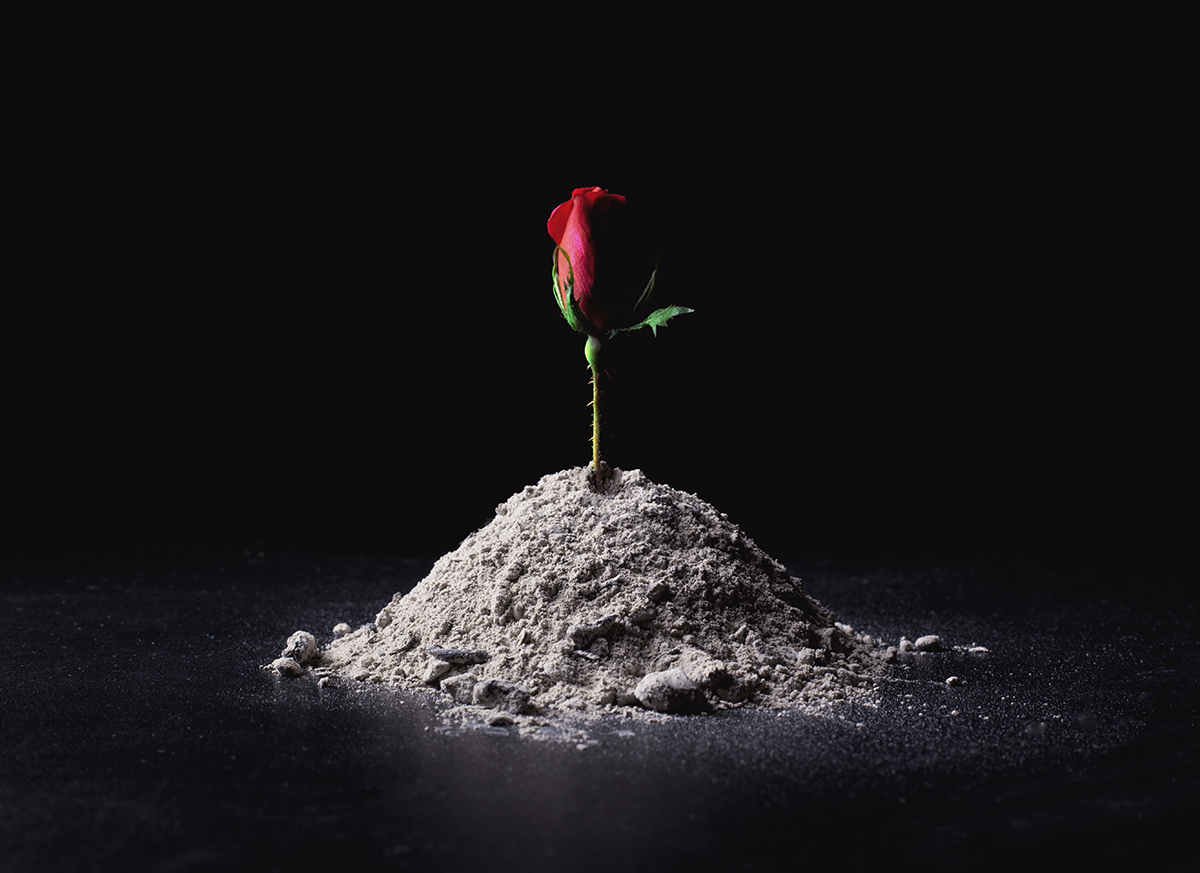 Opening to the Pain of Loss
