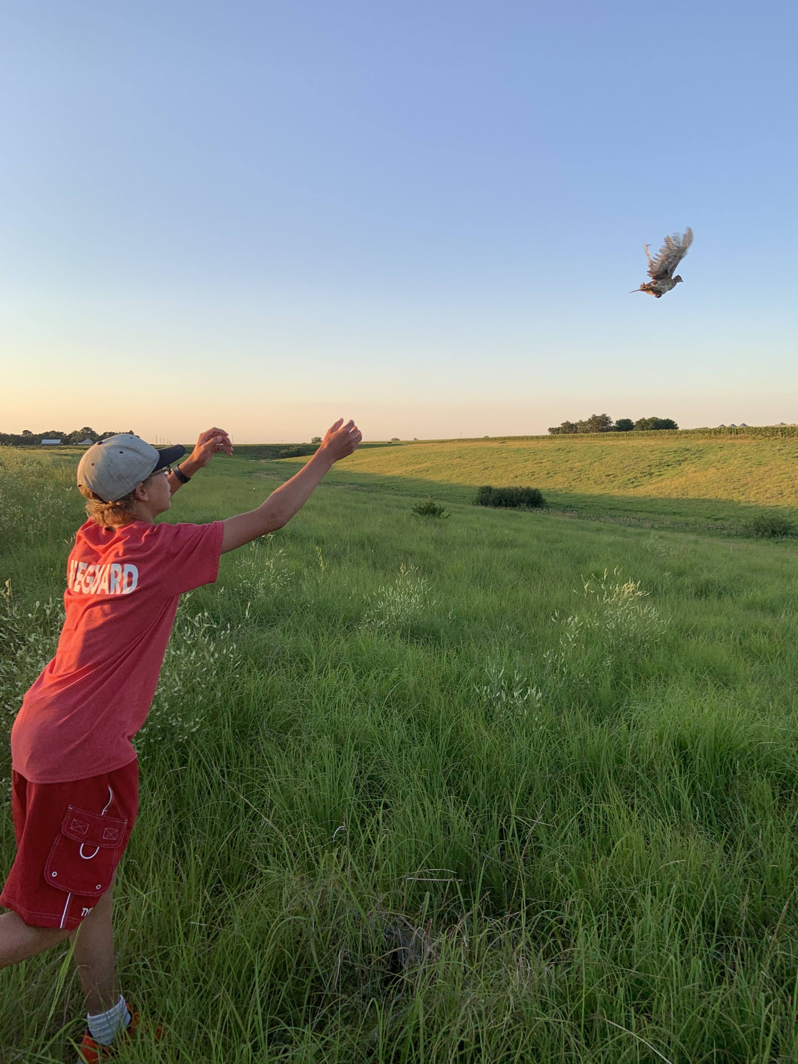 Nick Busse Grows the Flock in St. Paul, Nebraska