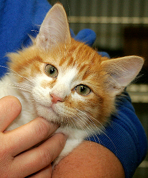 Meet Sundance!