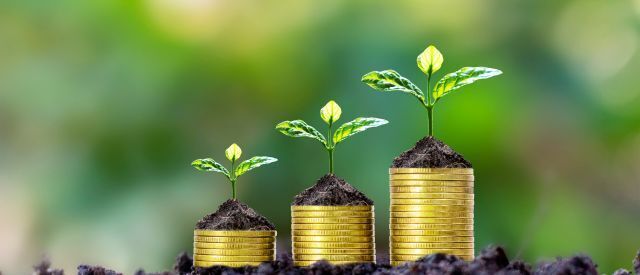 Donor-Advised Fund