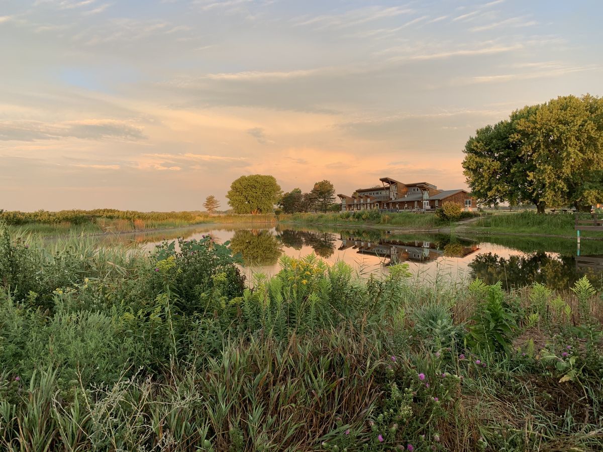 Reasons to Visit Visit Crane Trust