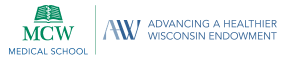 Advancing a Healthier Wisconsin Endowment