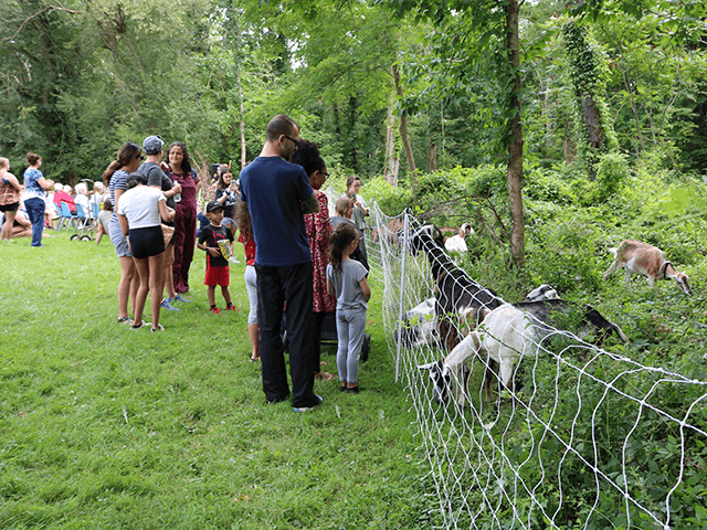 Hundreds enjoy Goat Fest