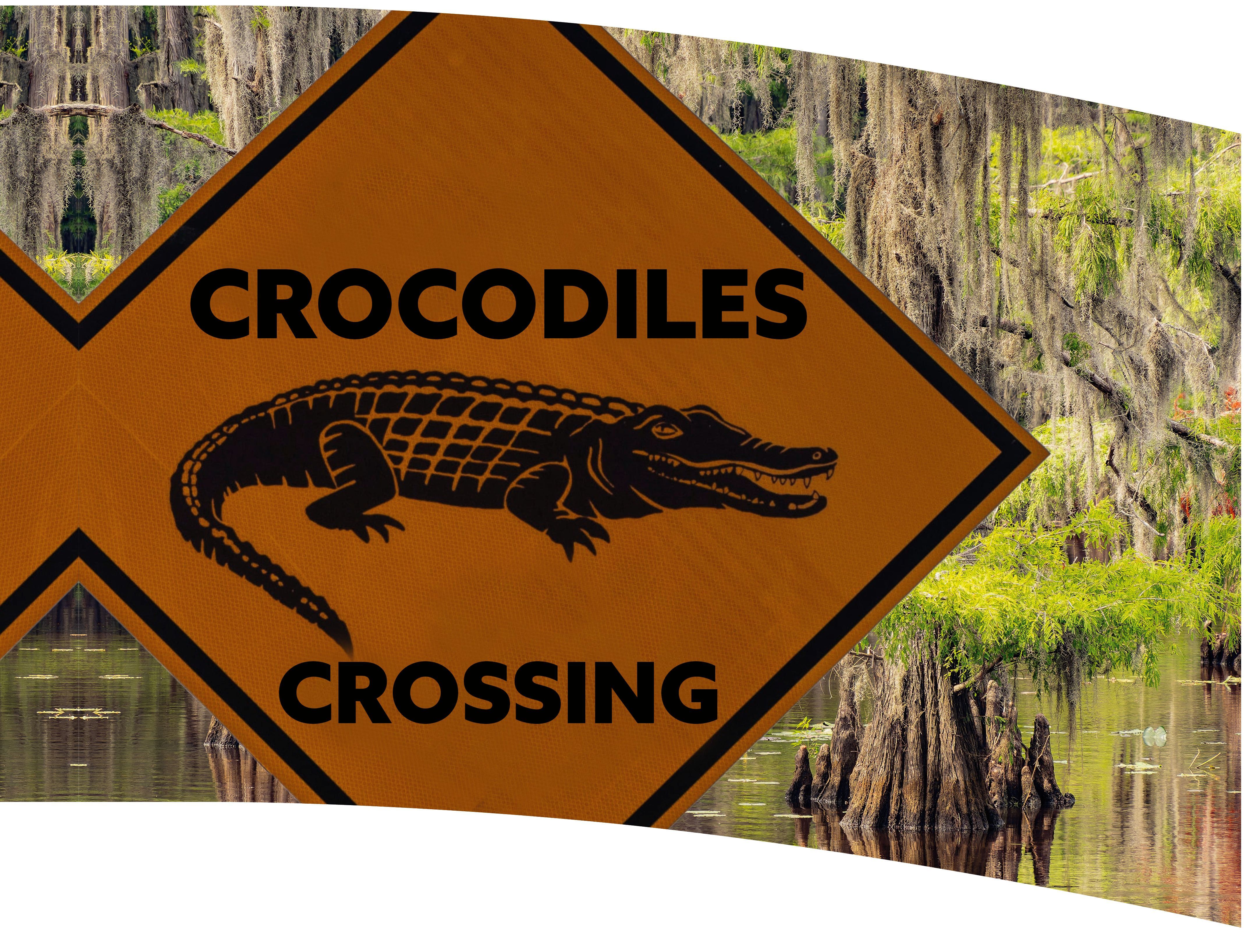 Crocodiles Sign
