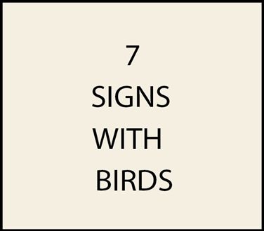 7. - House Address Signs with Carved Hand-Painted Birds (Song birds, Eagles, Shore Birds)
