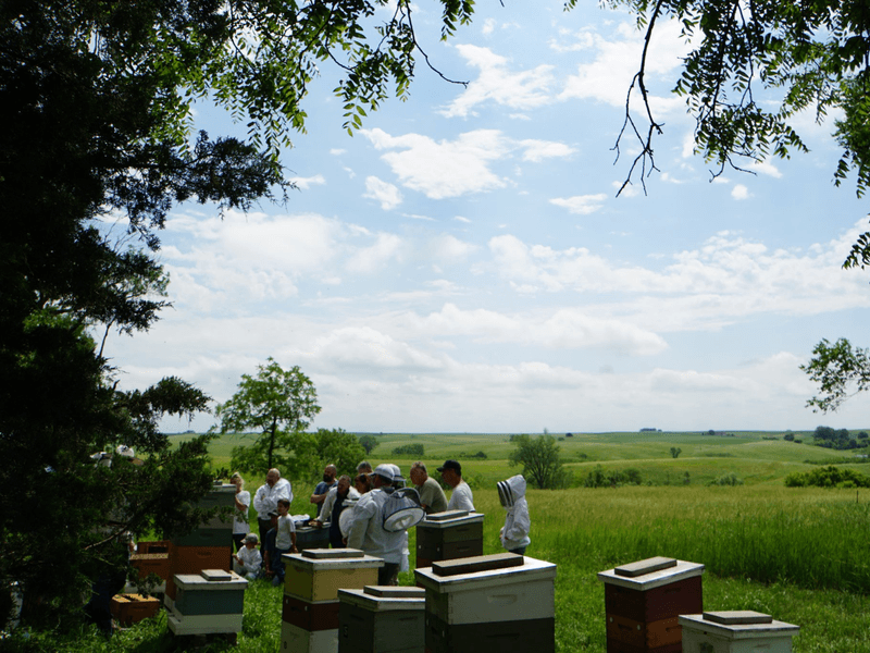 Group of people learning about beehives 