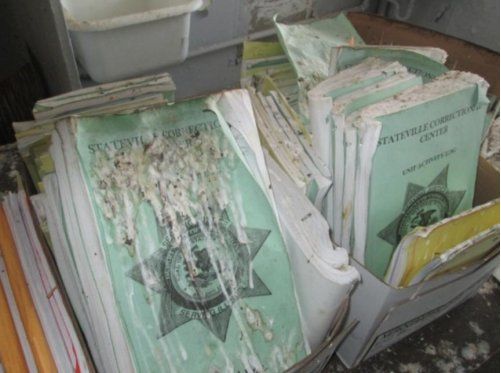 Jail birds damage Stateville prison docs in Crest Hill