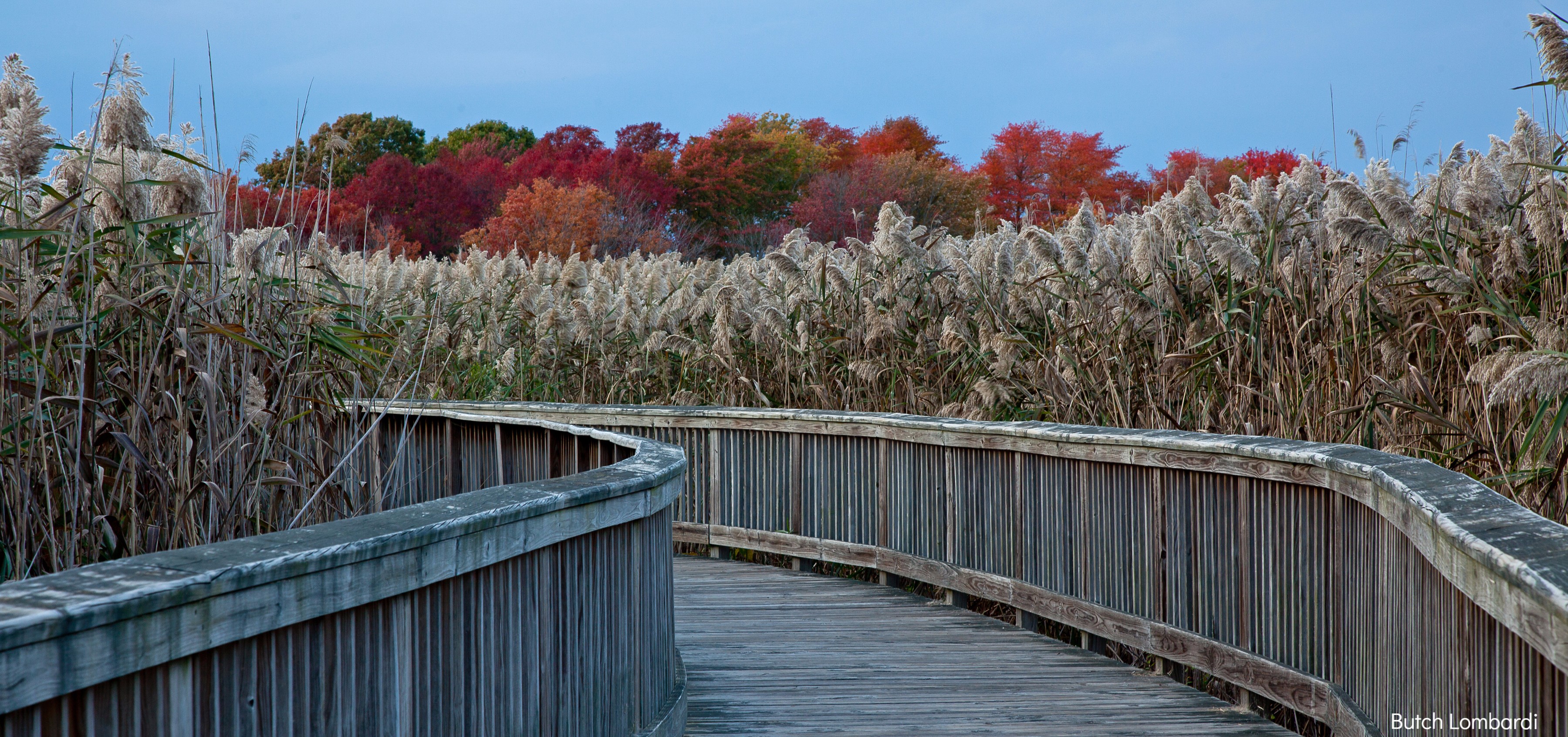 Construction, Closings and Winter Hours at the Environmental Education Center