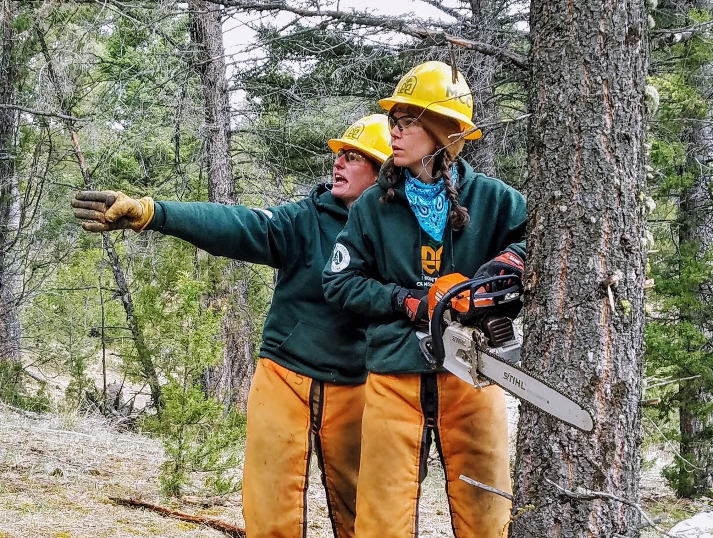 Two women's fire crew members plan the direction to fell a tree